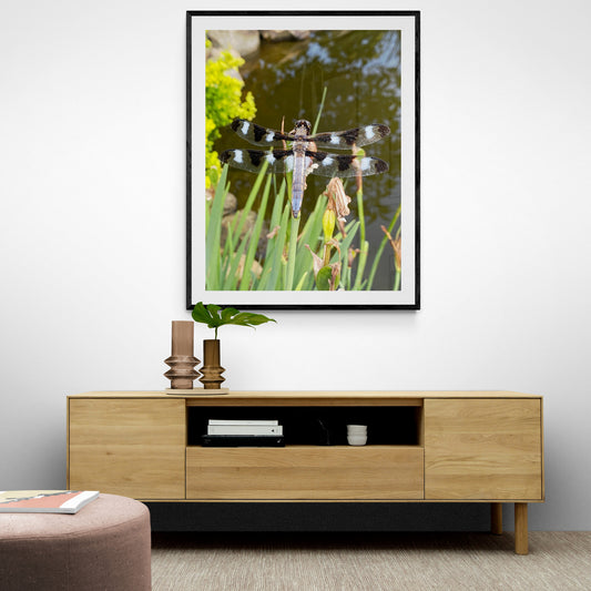 Dragonfly Print, Wildlife Series, Close Up Nature Photography
