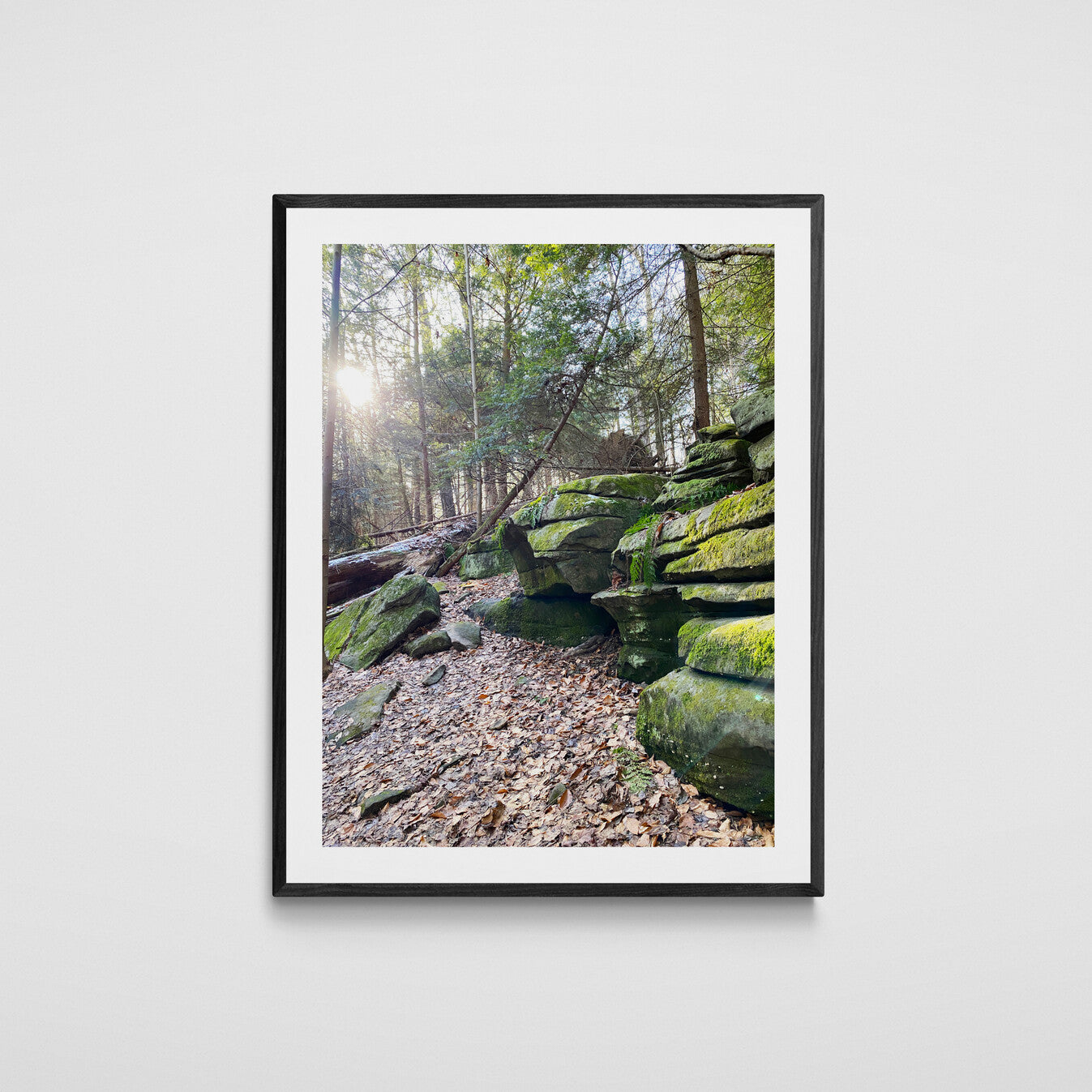 Sunbeam at Kendall Ledges, Cuyahoga Valley Nature Photography, Ohio Nature Wall Art