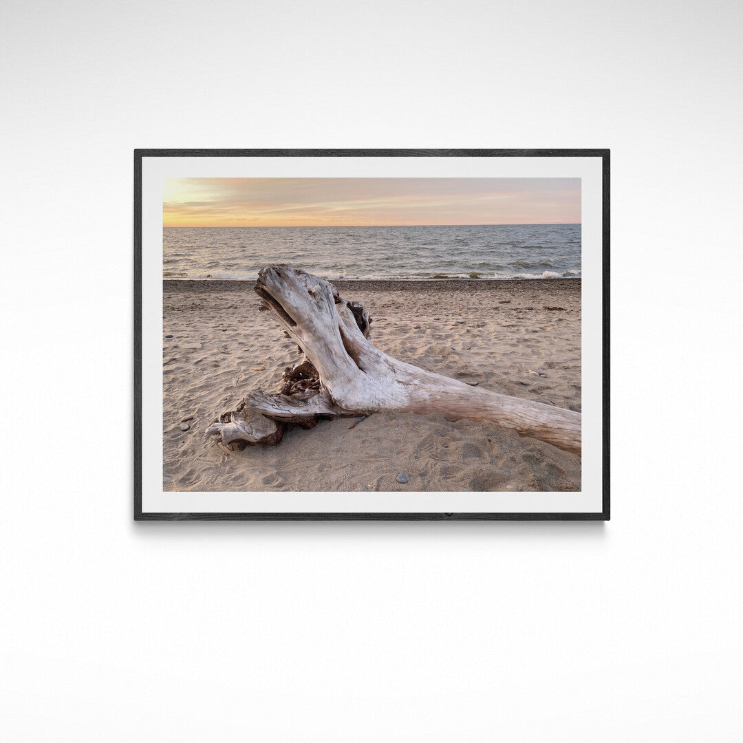 Driftwood on the Beach, Sunset Photography, Archival Print