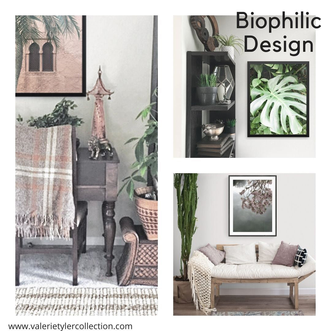 Adding Biophilic Design at Home for Well Being