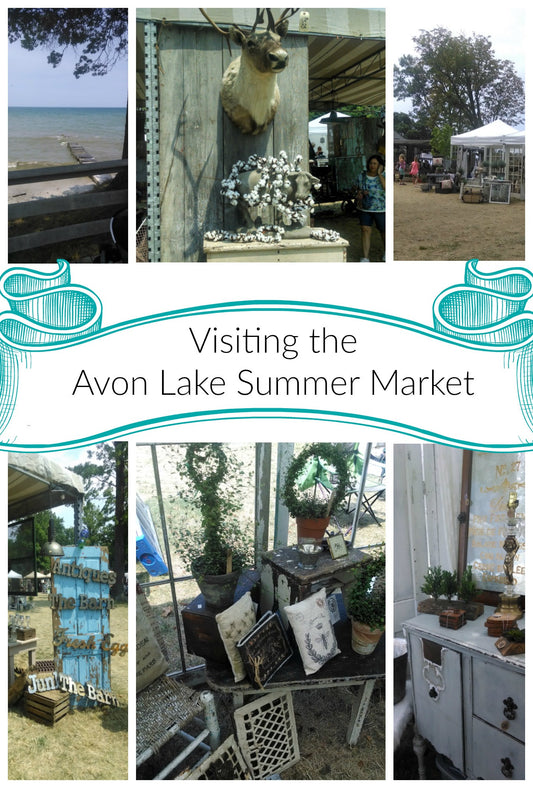 A Visit to the Avon Lake Summer Market