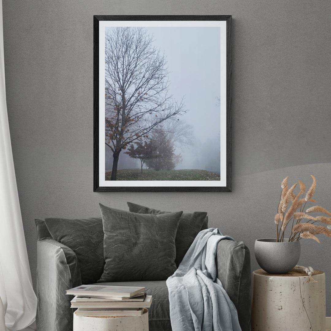 A Very Foggy Day, Outdoors In Autumn Photographic Print
