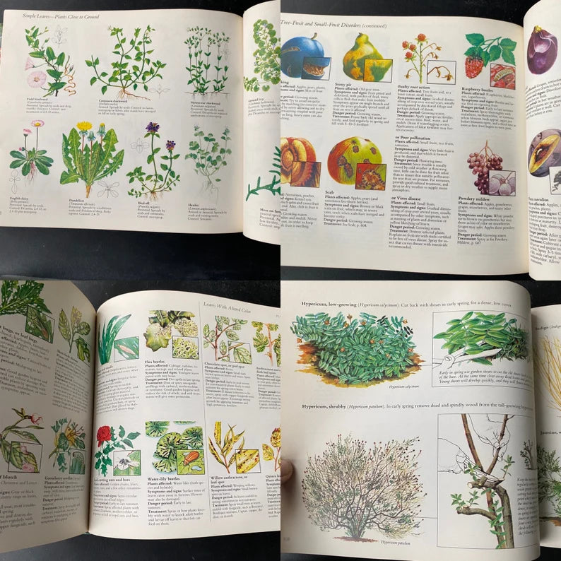 Vintage Readers digest illustrated guide to gardening