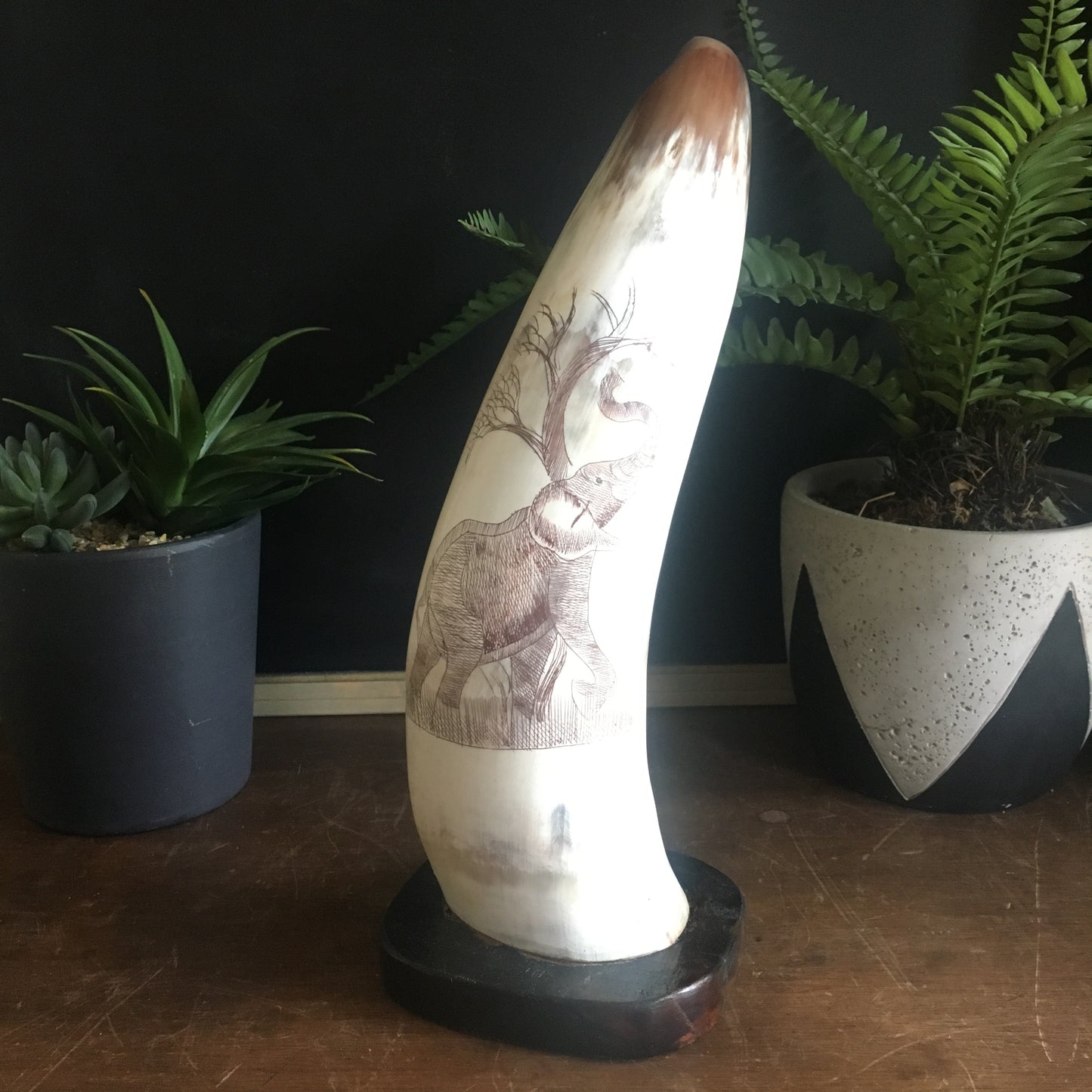 Vintage Carved Horn with Elephant Scrimshaw