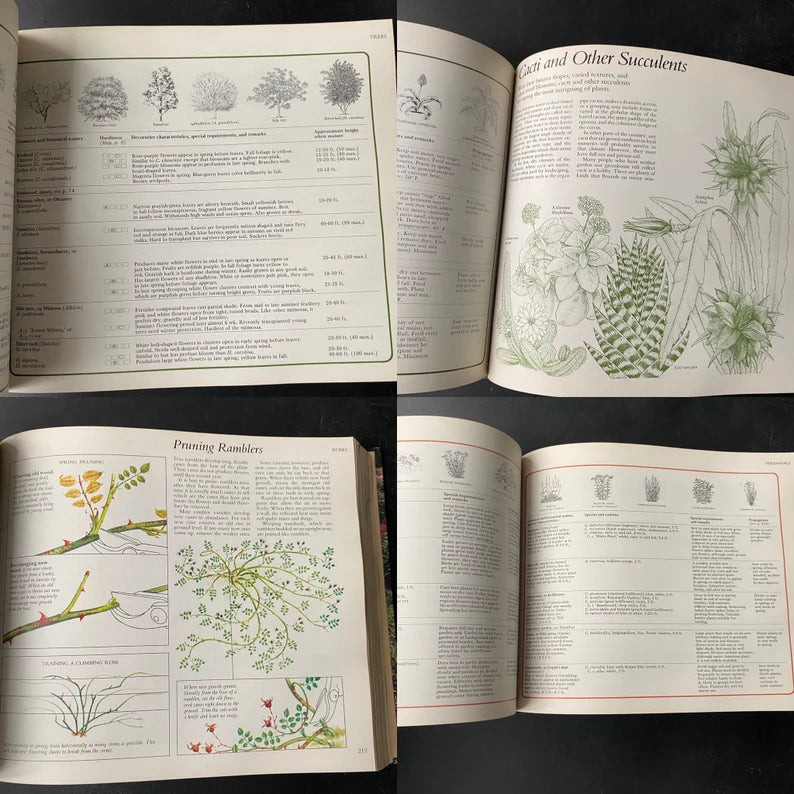 Vintage Readers digest illustrated guide to gardening