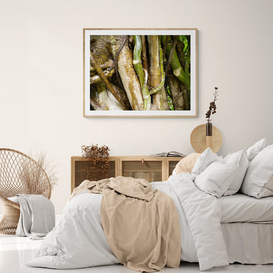 Bamboo Forest Print, Tropical Photography, Nature Photo Gallery Wall Print, Tropical Series