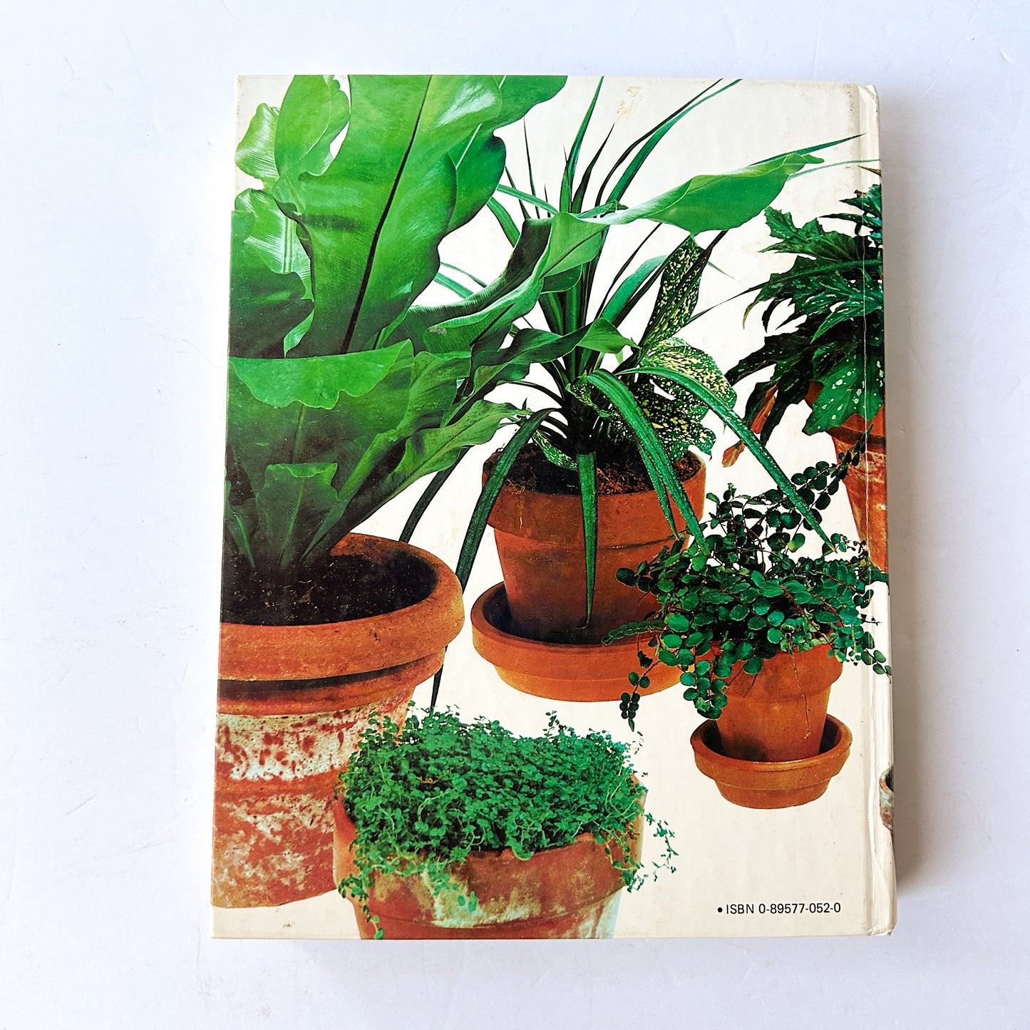 Vintage Success with Houseplants Books
