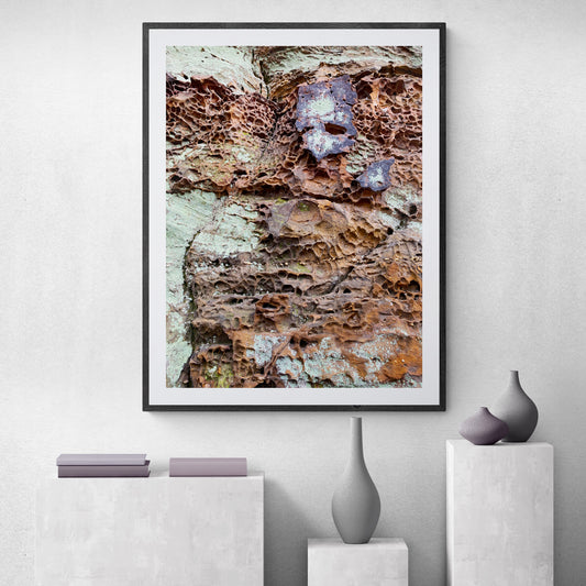 Otherworldly Nature No. 1, Abstract Nature Photography, Nature Gallery Wall Print
