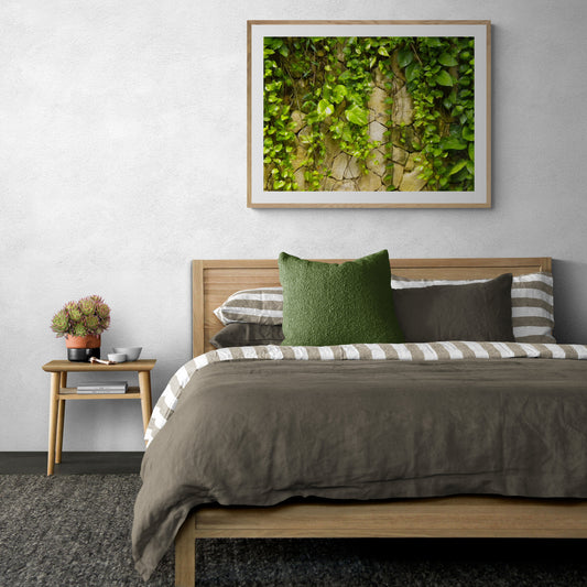 Falling Vines Print, Nature Gallery Wall Photo, Tropical Photography