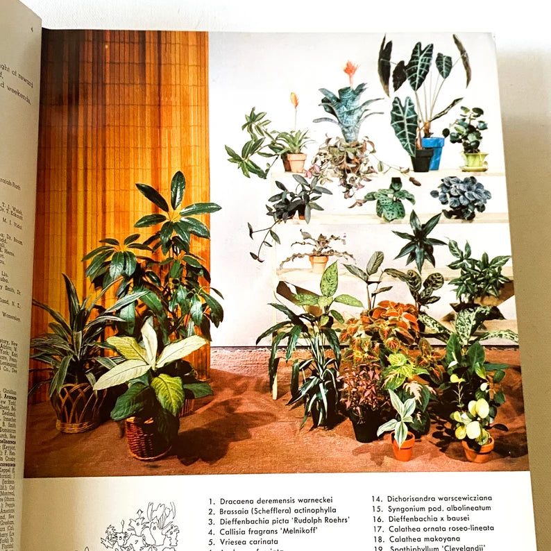 Vintage Exotica Book Set, Pictorial Cyclopedia of Exotic Plants, Reference Guide to Care of Plants Indoors