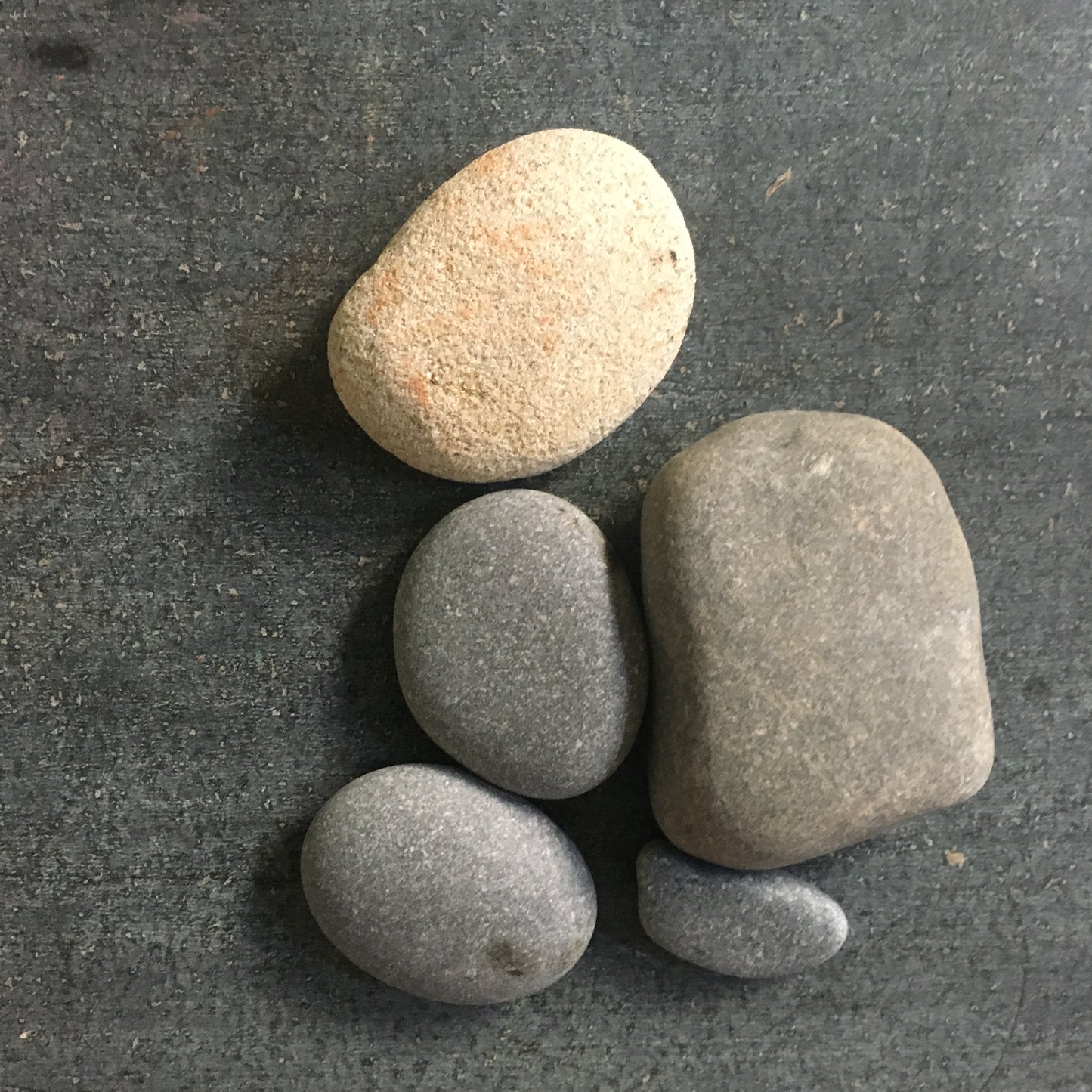 Vintage Beachcomber Lot - Driftwood, Lake Tumbled Stone and more