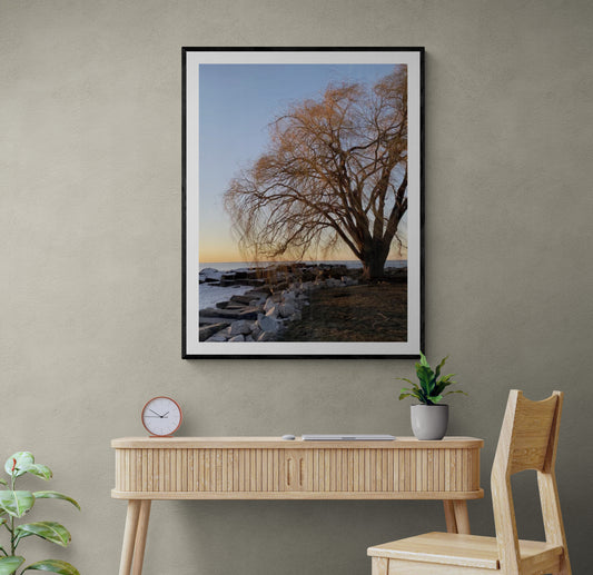 Tree by the Lake Print, Lake Erie Nature Photography Wall Art