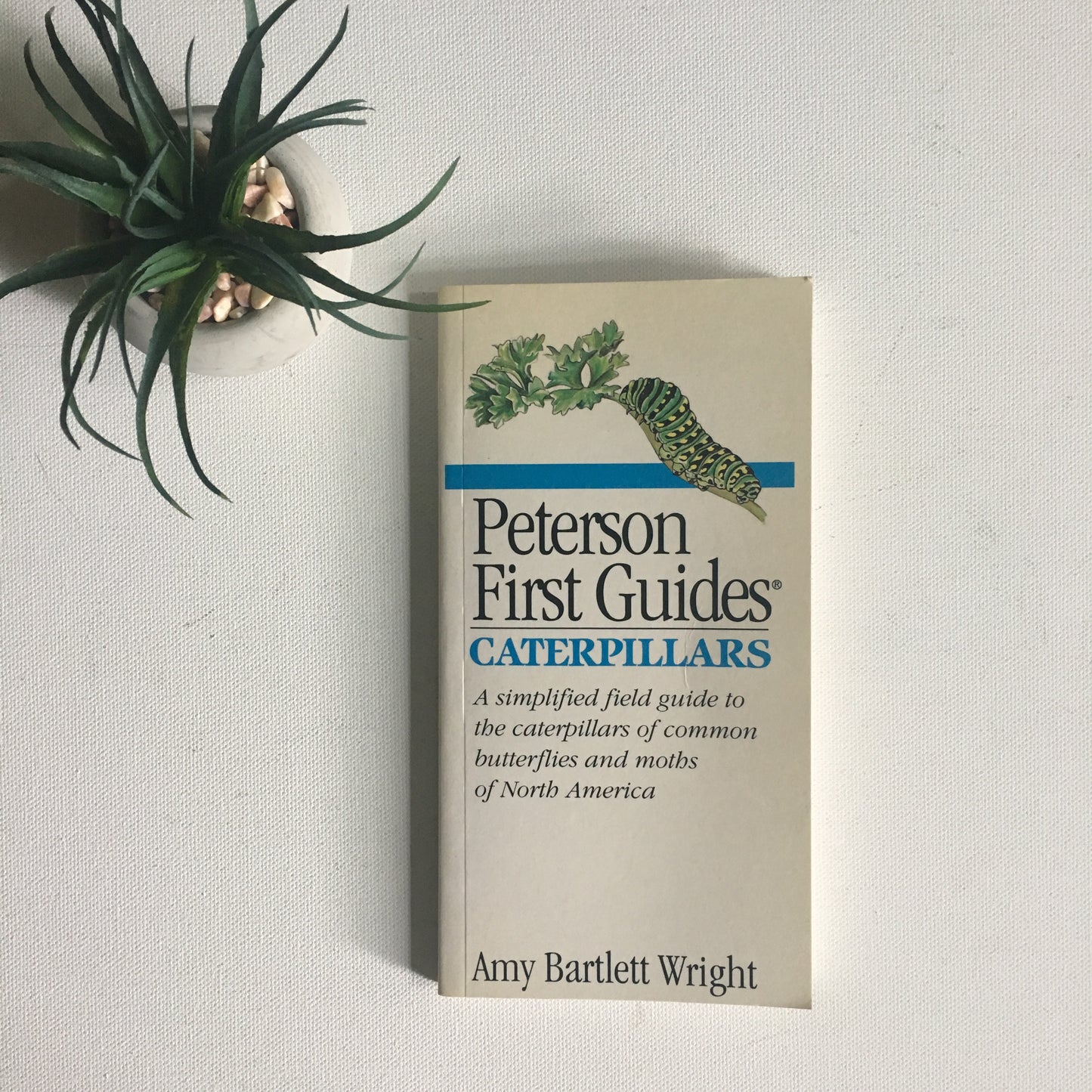 Vintage Peterson First Guides Caterpillars Book