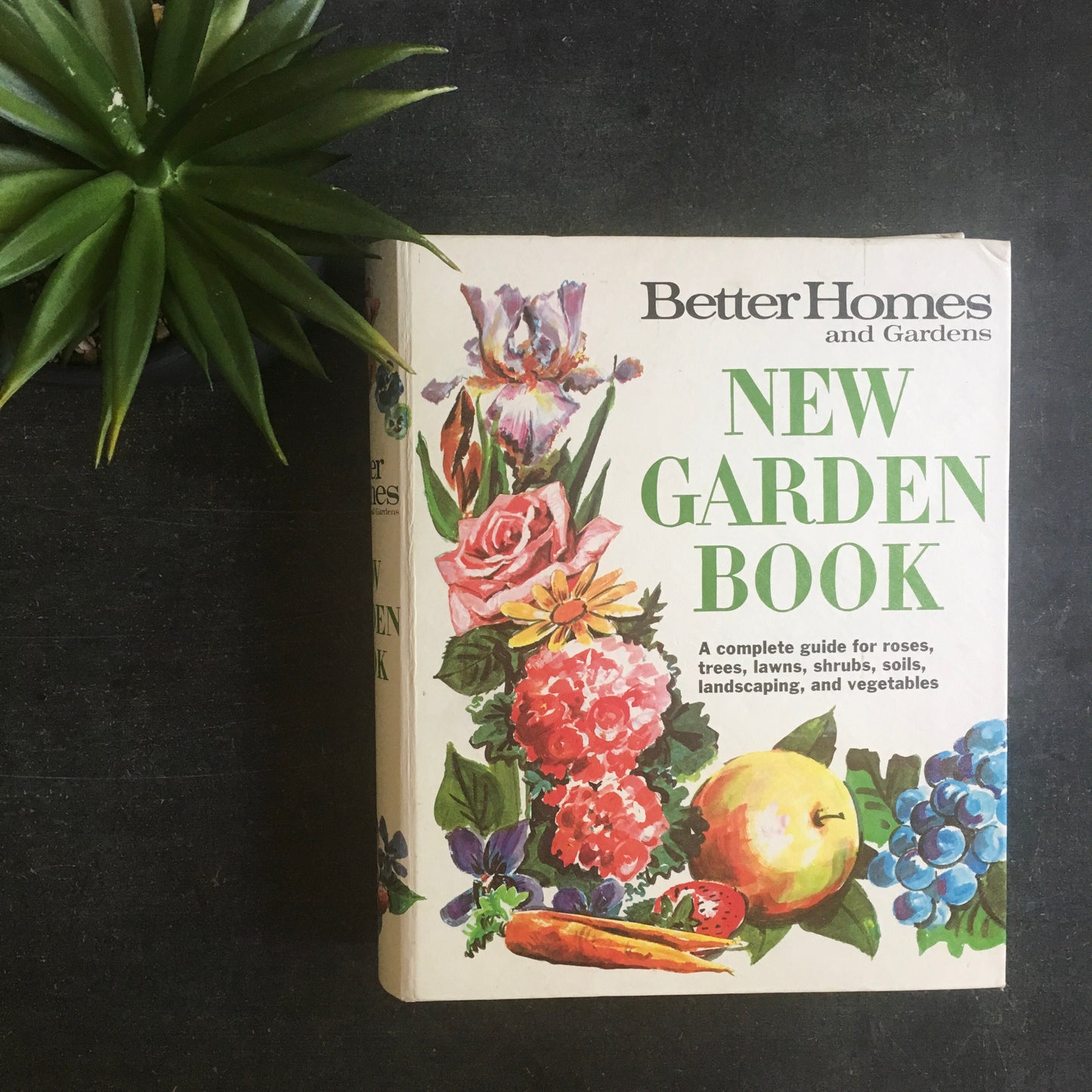 Vintage Edition of Better Homes and Gardens New Garden Book