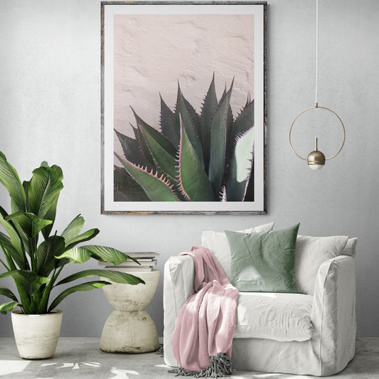 Succulents on Pink, Plants on Pink Photography, Botanical Art Print