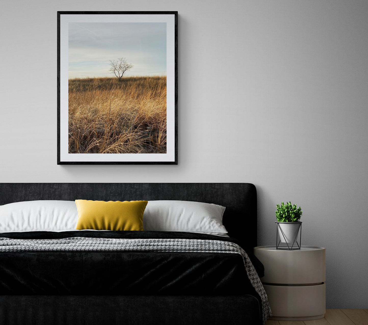 Simple Solitude, Grassy Dunes, Grassland Photograph