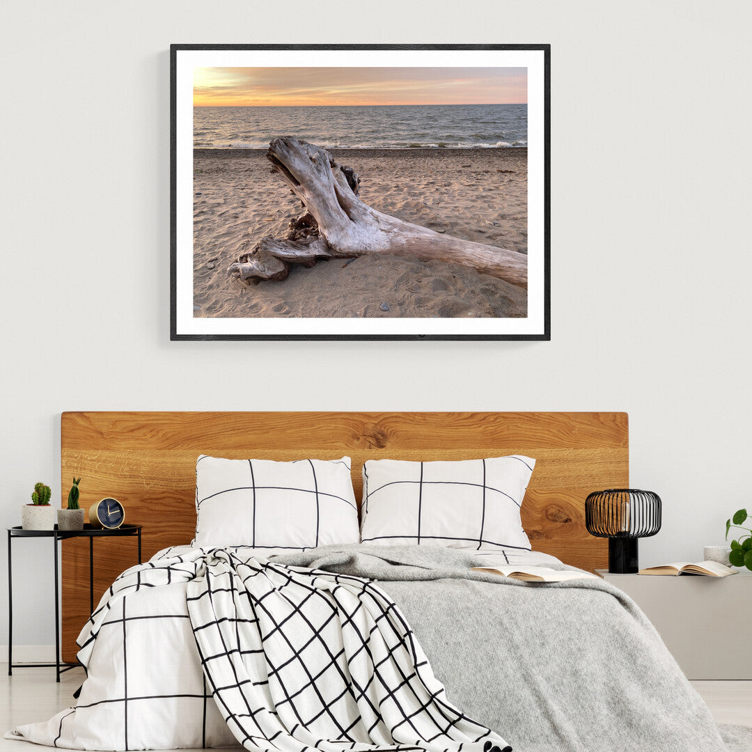 Driftwood on the Beach, Sunset Photography, Archival Print